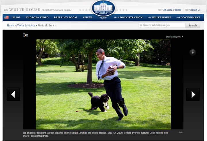 Bo White House Page