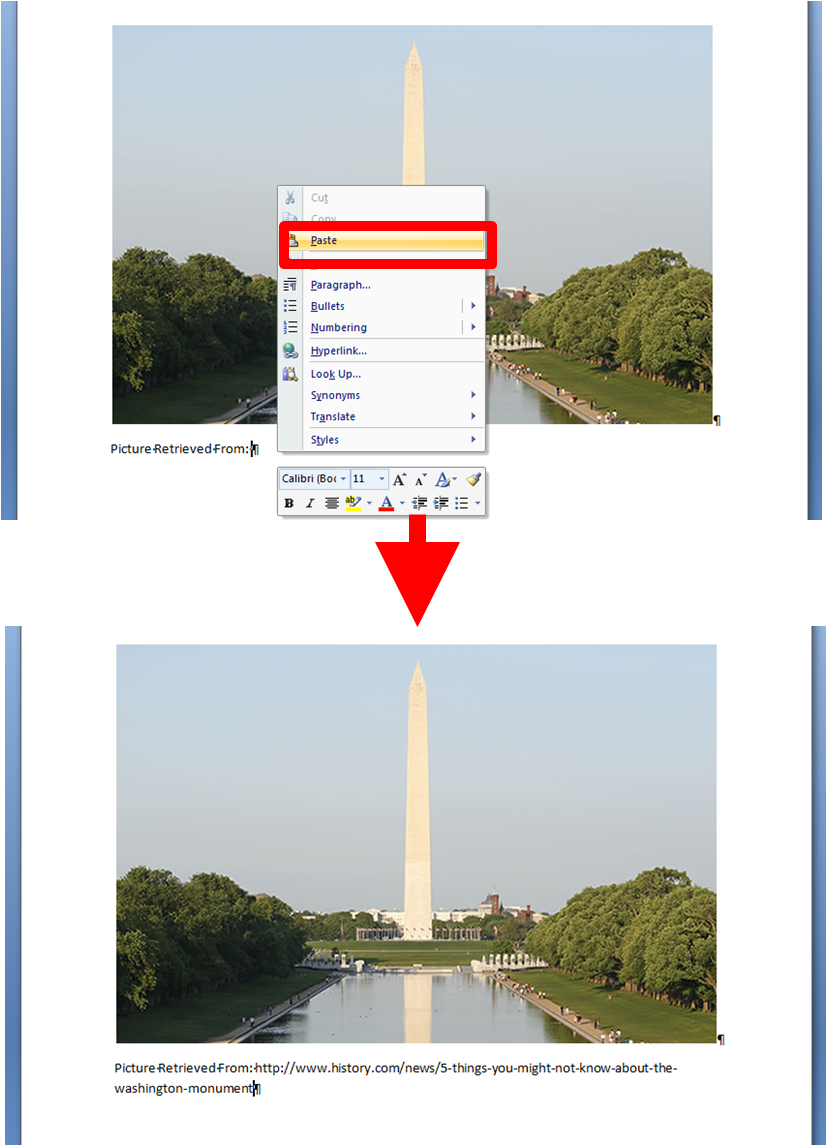Properly Citing the Picture in Microsoft Word