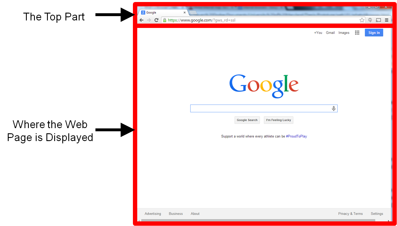 The Two Main Sections of the Google Chrome Browser