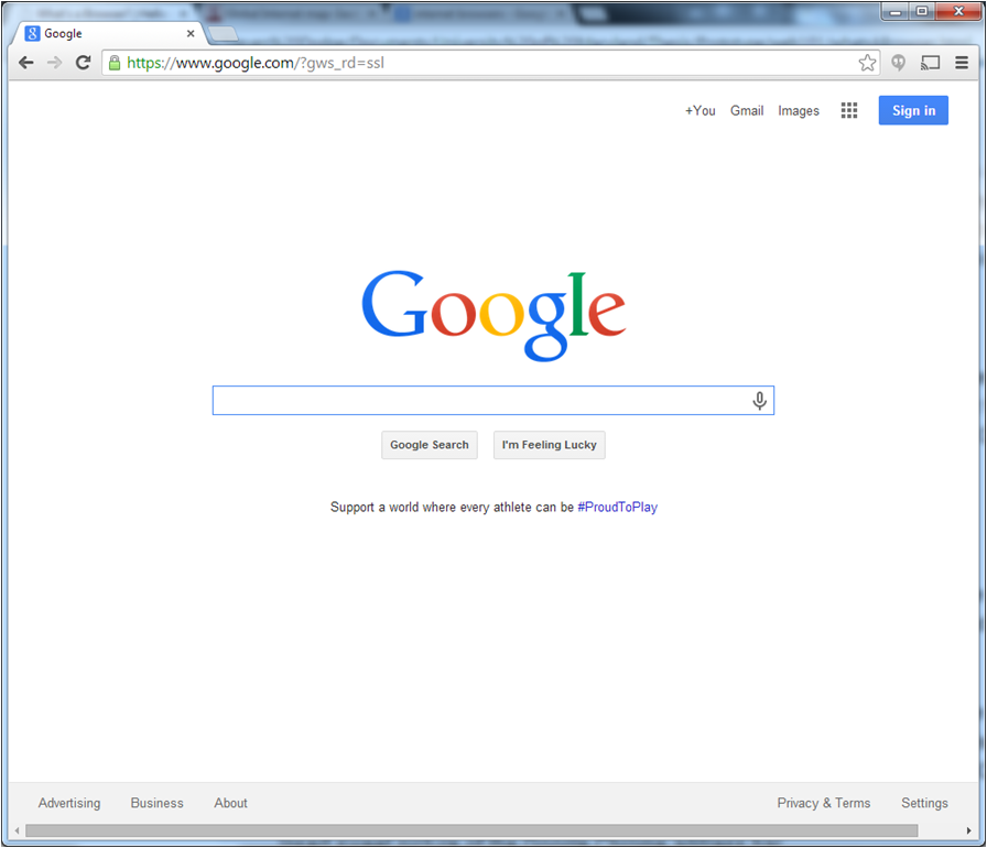 The Google Chrome Browser